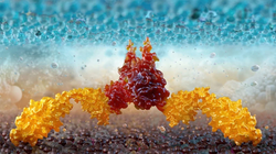 Hình ảnh 3D về liệu pháp CAR-T, cho thấy sự tương tác phân tử giữa tế bào T hoặc tế bào NK và tế bào khối u. Ảnh: Shutterstock.