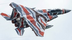 Chiến đấu cơ F-15J của Lực lượng Phòng không Nhật Bản. Ảnh: MW.