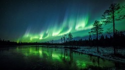 Ảnh: Business Insider