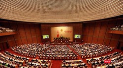 Theo dõi bầu cử Quốc hội và HĐND các cấp qua Zalo.