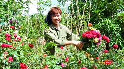 Nguyễn Việt Anh- Chủ vườn hồng lớn nhất Tây Nguyên