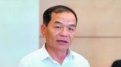 Đại biểu Quôc hội Lê Thanh Vân