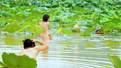 Sen là biểu tượng dành cho cái đẹp tao nhã, thanh cao. Xin đừng làm xấu hình ảnh của sen.