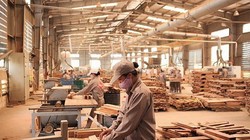 Việt Nam, dù đã là một "trung tâm chế biến gỗ của Châu Á", nhưng nguồn cung nguyên liệu trong nước vẫn không đủ để phục vụ tiêu thụ nội địa và xuất khẩu, nên bình quân mỗi năm vẫn phải nhập khoảng 4-4,5 triệu m3 gỗ nguyên liệu.