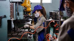 VEPR cũng đưa ra 3 kịch bản kinh tế được xây dựng dựa trên 3 kịch bản về khả năng kiểm soát bệnh dịch trong nước và trên thế giới - Ảnh internet.