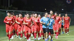 Tất cả đã sẵn sàng- Ảnh VFF.