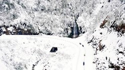   Băng tuyết phủ trắng Sa Pa (ảnh minh hoạ)