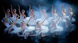 Vở vũ kịch "Hồ Thiên nga"