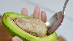 Hạt bơ. Ảnh: Internet