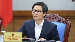 Phó Thủ tướng Vũ Đức Đam. Ảnh: VGP 