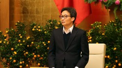 Phó Thủ tướng Vũ Đức Đam. Ảnh: VGP 