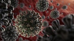 Virus SARS-CoV-2. Ảnh: Getty Images