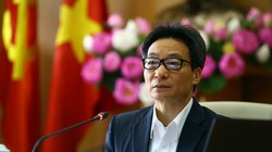 Phó Thủ tướng Vũ Đức Đam. Ảnh: VGP