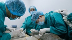 Nghiên cứu vaccine phòng chống Covid-19 tại Việt Nam