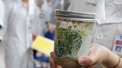 Bộ Công an đang tiến hành điều tra về vụ ngộ độc pate Minh Chay. Ảnh: Lê Minh 