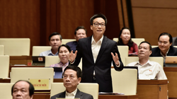 Phó Thủ tướng Vũ Đức Đam (Ảnh: Đình Nam - VGP) 