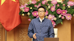 Phó Thủ tướng Vũ Đức Đam (Ảnh: Đình Nam/VGP)