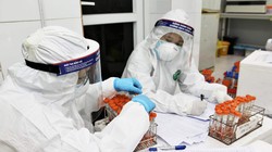 Cán bộ y tế phân loại mẫu xét nghiệm (Ảnh - BYT) 