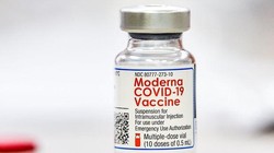 Vaccine COVID-19 Moderna (Ảnh - TH)