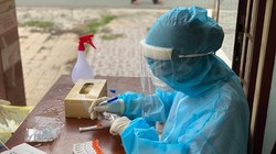 Nhân viên y tế phân loại mẫu xét nghiệm COVID-19 (Ảnh - BYT) 