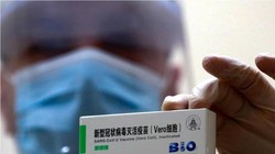 Vaccine phòng COVID-19 Vero Cell của Sinopharm (Ảnh - VT) 