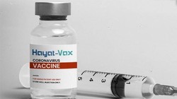 Vaccine Hayat-Vax (Ảnh - BYT) 
