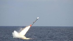 Tên lửa Tomahawk.
