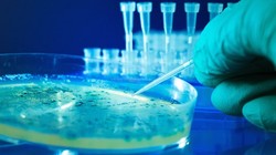 ADN của cơ thể có thể là nơi lưu trữ dữ liệu