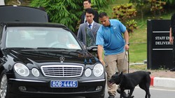 Chó nghiệp vụ Mỹ đánh hơi, phát hiện những thiết bị khả nghi đảm bải an ninh cho phái đoàn quan chức cao cấp của Hoa Kỳ tại Hà Nội.