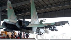 Máy bay chiến đấu Su-30 của Không quân Việt Nam.