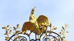  Hình ảnh gà trống trên cổng điện Elysées, Pháp.