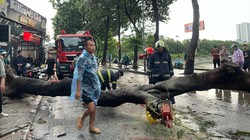 Siêu bão Yagi đang giật cấp 17, mưa dông cực mạnh ập tới Hà Nội kéo đổ cây làm 1 người chết