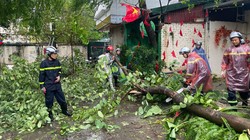 Bão Yagi quét qua Hà Nội làm một người chết, 2.800 cây bị đổ