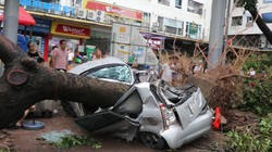 Hà Nội tan hoang do bão Yagi, 54 ô tô bị hư hỏng