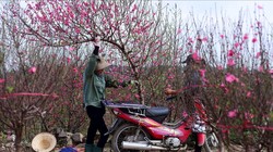 Bộ Nội vụ thống nhất đề xuất nghỉ Tết Ất Tỵ 9 ngày, dịp 30/4 nghỉ 5 ngày