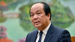 Đề nghị truy tố cựu Bộ trưởng Mai Tiến Dũng và cựu lãnh đạo tỉnh Lâm Đồng