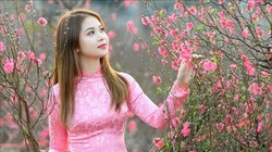 Thủ tướng đồng ý nghỉ Tết Nguyên đán 9 ngày, từ 26 tháng Chạp