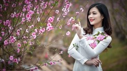 Chốt lịch nghỉ Tết Nguyên đán Ất Tỵ và các ngày lễ trong năm 2025