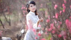 Dự báo thời tiết 3 miền Tết Ất Tỵ 2025