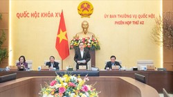 Xem xét công tác nhân sự trình kỳ họp Quốc hội bất thường lần thứ 9