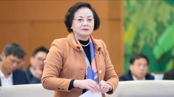 Trình Thường vụ Quốc hội cơ cấu tổ chức mới của Chính phủ