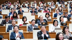 Quốc hội chốt đổi tên kỳ họp bất thường thành kỳ họp không thường lệ