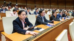 Những điểm mới của Luật Tổ chức Chính phủ (sửa đổi)