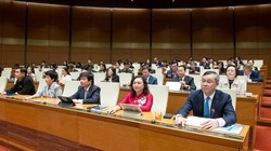 Quốc hội thông qua Luật Tổ chức chính quyền địa phương sửa đổi