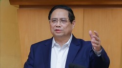 Chuẩn bị kỹ phương án đàm phán với Mỹ về mức thuế đối ứng 46%