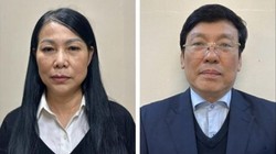 Cựu Bí thư Vĩnh Phúc nộp 20 tỷ, đề nghị sử dụng hai lô đất 34 tỷ đồng khắc phục hậu quả