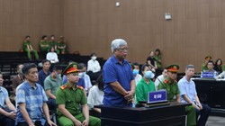 Vụ thất thoát hơn 730 tỷ đồng từ khai thác đất hiếm: Cựu Thứ trưởng Bộ TNMT được đề nghị án treo