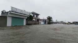 Bão số 5 - Kajiki đổ bộ Nghệ An - Hà Tĩnh, gây nhiều thiệt hại về người và tài sản