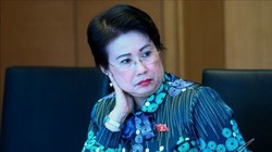 Cựu Phó Bí thư tỉnh Đồng Nai Phan Thị Mỹ Thanh bị khởi tố