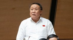 Đại biểu Quốc hội nêu băn khoăn về quy định ghế an toàn cho trẻ em trên ô tô